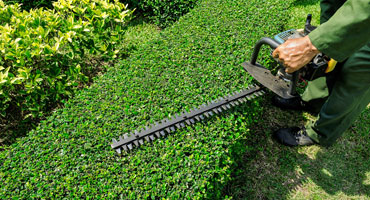 Lawn & Garden Care